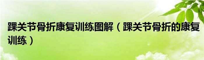 踝關(guān)節(jié)骨折康復(fù)訓(xùn)練圖解（踝關(guān)節(jié)骨折的康復(fù)訓(xùn)練）