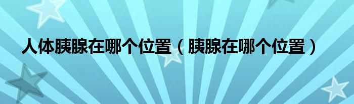 人體胰腺在哪個(gè)位置（胰腺在哪個(gè)位置）