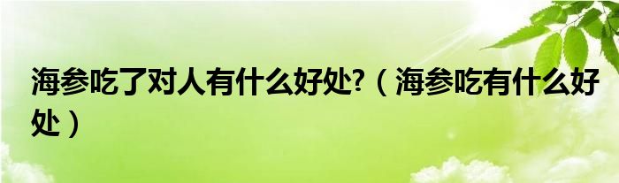 海參吃了對(duì)人有什么好處?（海參吃有什么好處）