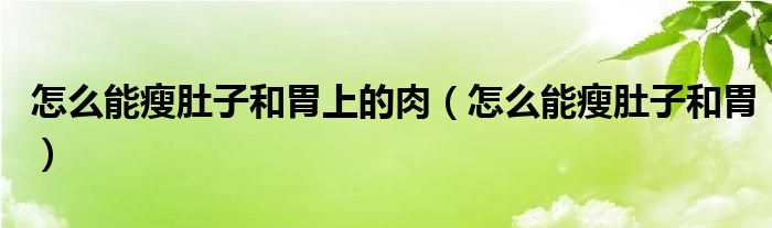 怎么能瘦肚子和胃上的肉（怎么能瘦肚子和胃）