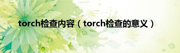 torch檢查內容（torch檢查的意義）