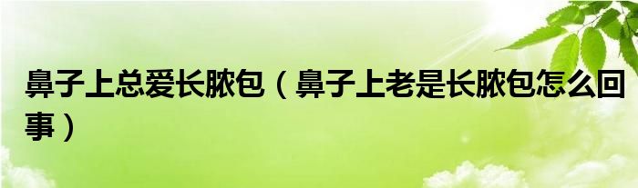 鼻子上總愛長膿包（鼻子上老是長膿包怎么回事）