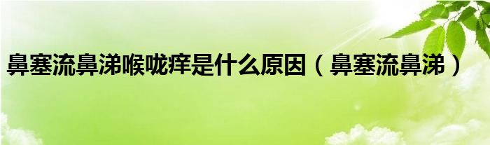 鼻塞流鼻涕喉嚨癢是什么原因（鼻塞流鼻涕）