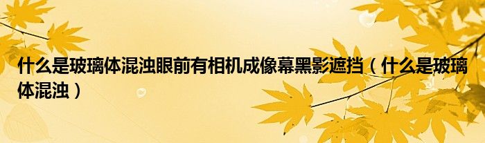 什么是玻璃體混濁眼前有相機(jī)成像幕黑影遮擋（什么是玻璃體混濁）