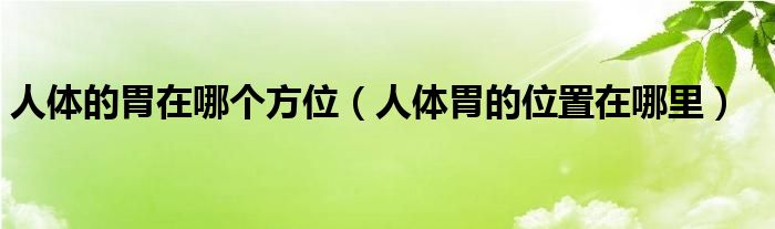 人體的胃在哪個方位（人體胃的位置在哪里）