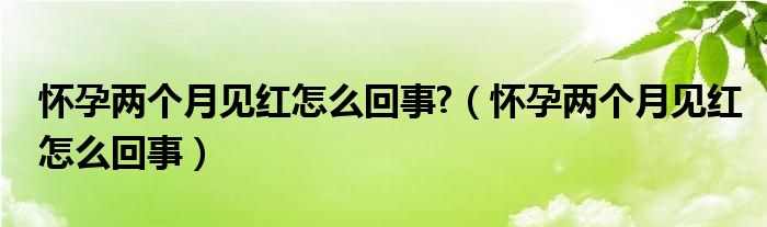 懷孕兩個月見紅怎么回事?（懷孕兩個月見紅怎么回事）