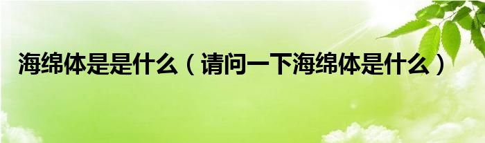 海綿體是是什么（請(qǐng)問一下海綿體是什么）