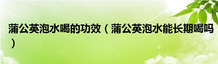 蒲公英泡水喝的功效（蒲公英泡水能長(zhǎng)期喝嗎）