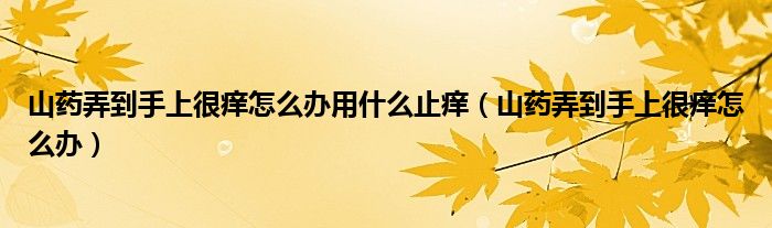 山藥弄到手上很癢怎么辦用什么止癢（山藥弄到手上很癢怎么辦）