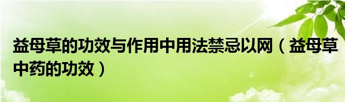 益母草的功效與作用中用法禁忌以網（益母草中藥的功效）