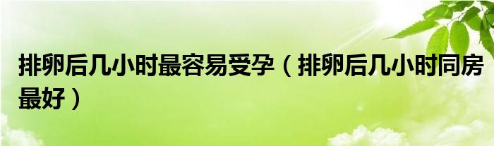 排卵后幾小時(shí)最容易受孕（排卵后幾小時(shí)同房最好）