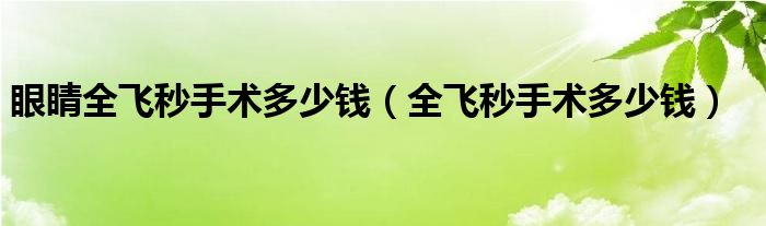 眼睛全飛秒手術多少錢（全飛秒手術多少錢）