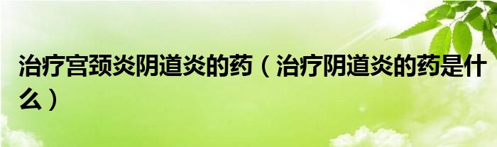 治療宮頸炎陰道炎的藥（治療陰道炎的藥是什么）