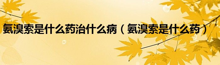 氨溴索是什么藥治什么?。ò变逅魇鞘裁此帲? /></span>
		<span id=