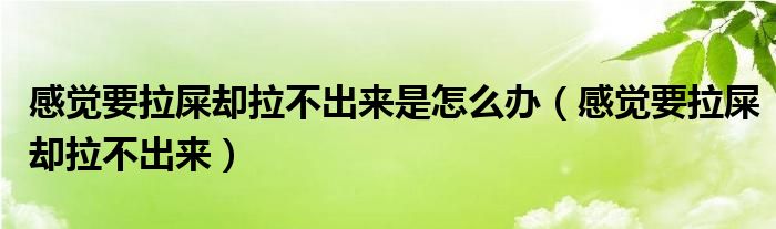 感覺要拉屎卻拉不出來(lái)是怎么辦（感覺要拉屎卻拉不出來(lái)）