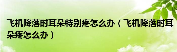 飛機(jī)降落時(shí)耳朵特別疼怎么辦（飛機(jī)降落時(shí)耳朵疼怎么辦）