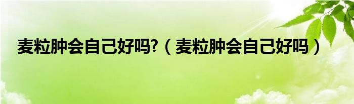 麥粒腫會自己好嗎?（麥粒腫會自己好嗎）