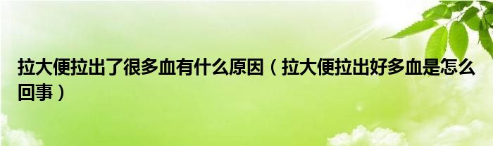 拉大便拉出了很多血有什么原因（拉大便拉出好多血是怎么回事）