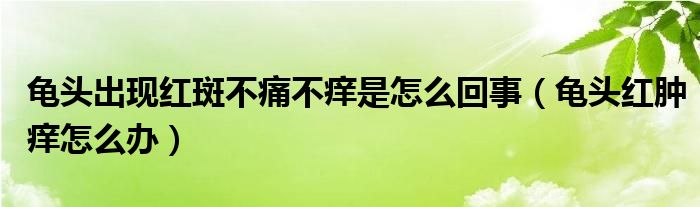 龜頭出現紅斑不痛不癢是怎么回事（龜頭紅腫癢怎么辦）