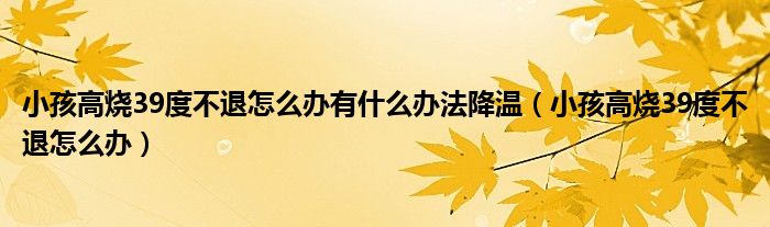 小孩高燒39度不退怎么辦有什么辦法降溫（小孩高燒39度不退怎么辦）