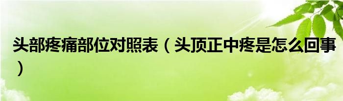 頭部疼痛部位對(duì)照表（頭頂正中疼是怎么回事）