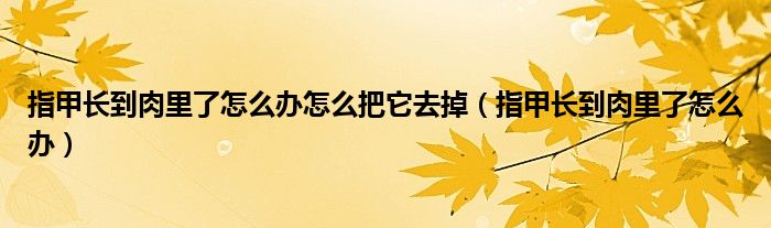 指甲長(zhǎng)到肉里了怎么辦怎么把它去掉（指甲長(zhǎng)到肉里了怎么辦）