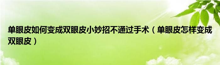 單眼皮如何變成雙眼皮小妙招不通過手術(shù)（單眼皮怎樣變成雙眼皮）