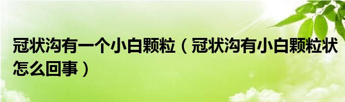 冠狀溝有一個小白顆粒（冠狀溝有小白顆粒狀怎么回事）