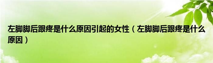 左腳腳后跟疼是什么原因引起的女性（左腳腳后跟疼是什么原因）