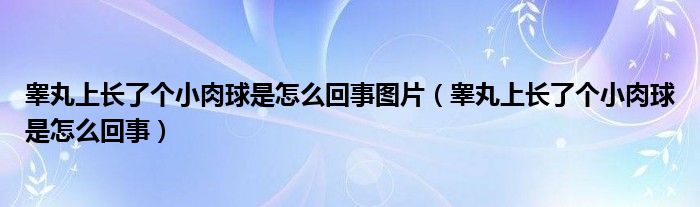 睪丸上長了個小肉球是怎么回事圖片（睪丸上長了個小肉球是怎么回事）