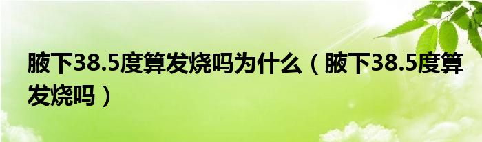 腋下38.5度算發(fā)燒嗎為什么（腋下38.5度算發(fā)燒嗎）