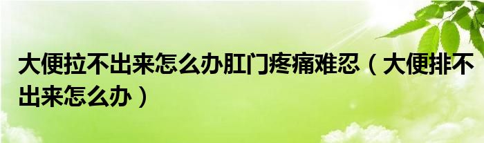 大便拉不出來怎么辦肛門疼痛難忍（大便排不出來怎么辦）