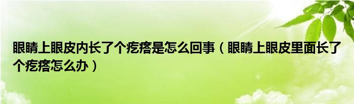 眼睛上眼皮內(nèi)長了個(gè)疙瘩是怎么回事（眼睛上眼皮里面長了個(gè)疙瘩怎么辦）