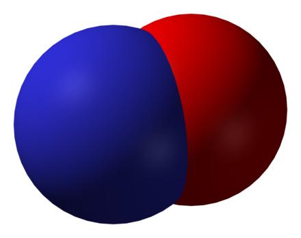 科學(xué)家中和活性氮分子以增強(qiáng)癌癥免疫療法