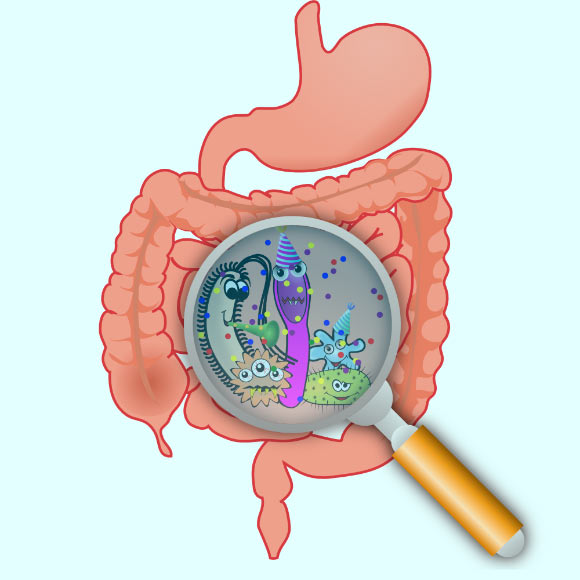 腸道微生物是否會(huì)影響我們的思維