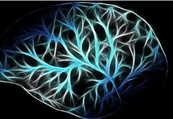 基于血液的表觀遺傳學研究可能會為自閉癥生物學提供線索