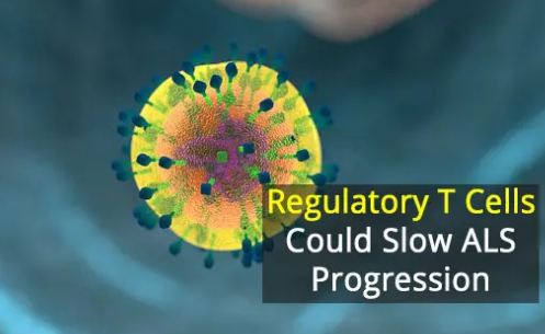 最新研究表明新的免疫療法對(duì)ALS患者是安全的