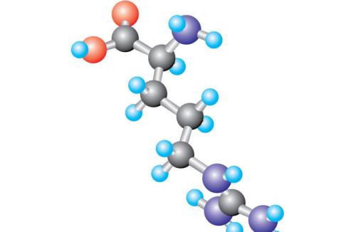 科學(xué)家研究細胞回路如何回收蛋白質(zhì)