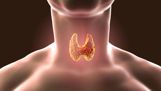 甲狀腺研究探索身體疾病與情緒障礙之間的聯(lián)系