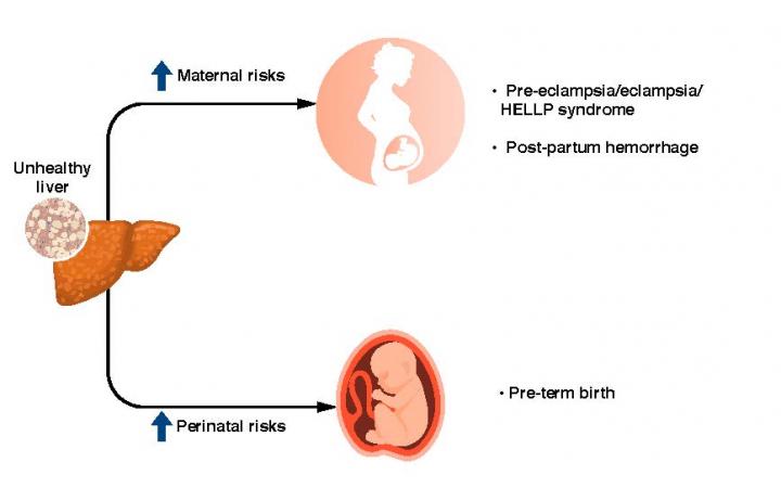 懷孕后的NAFLD會增加母親和嬰兒的風險