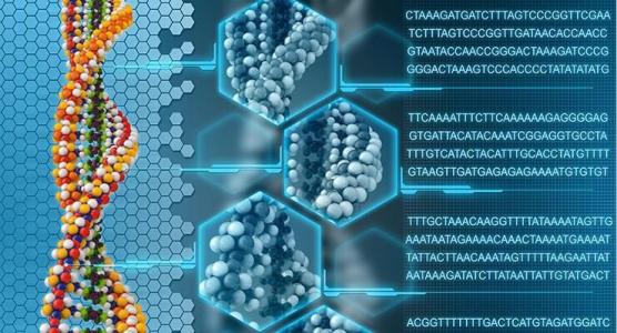 研究人員使用基因組學(xué)來解決一項(xiàng)為期20年的案例研究